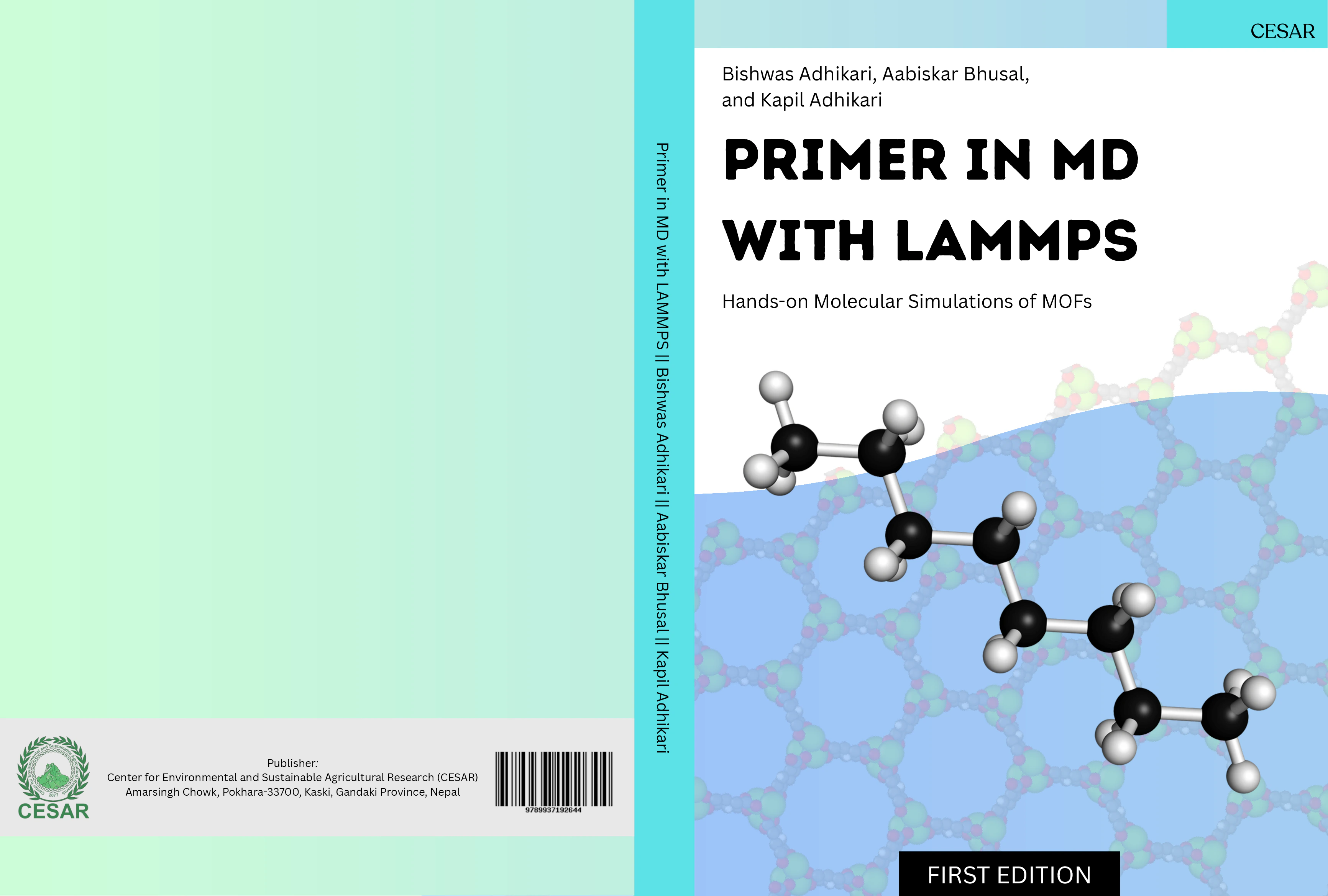 Page 1 of the book preview